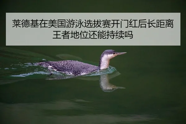 莱德基在美国游泳选拔赛开门红后长距离王者地位还能持续吗